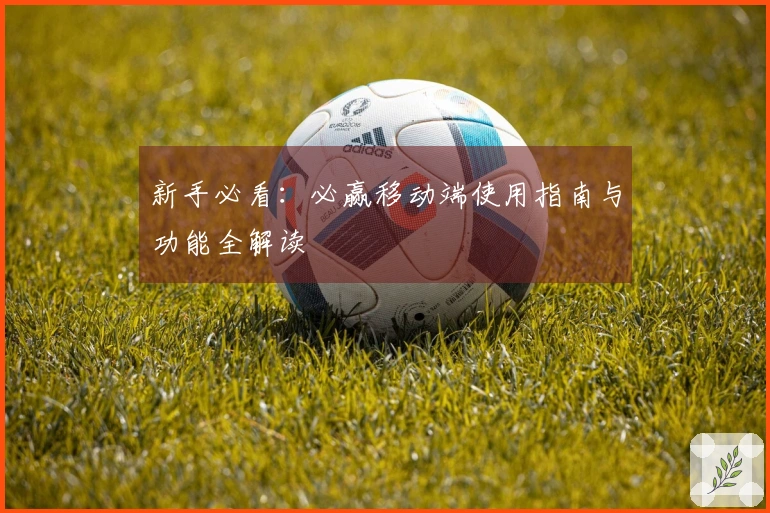 新手必看：必赢移动端使用指南与功能全解读